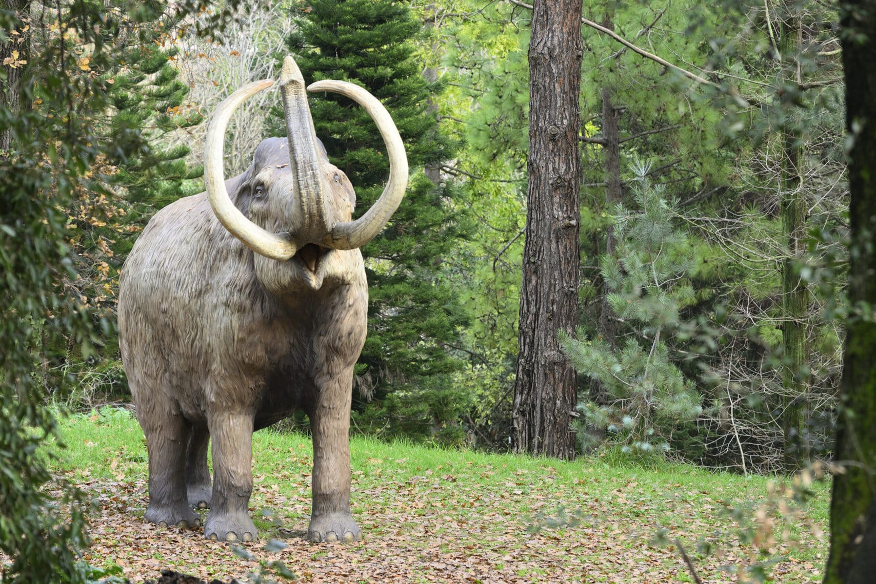 Mammut im Wald mit Stoßzähnen mögliche Darstellung im Lebensraum Wald