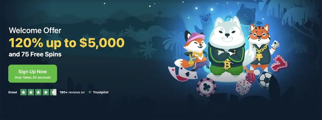 Wild.io Krypto Casino willkommensangebot banner