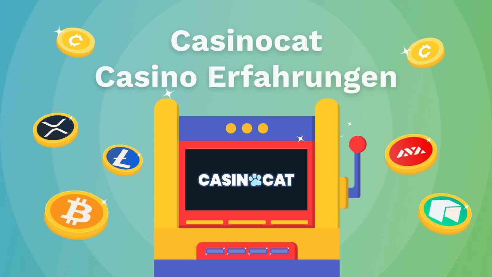 CasinoCat Erfahrungen