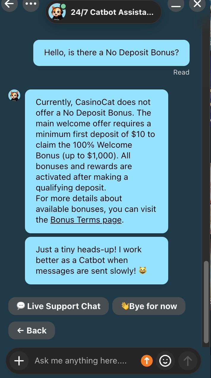Casinocat Live Chat