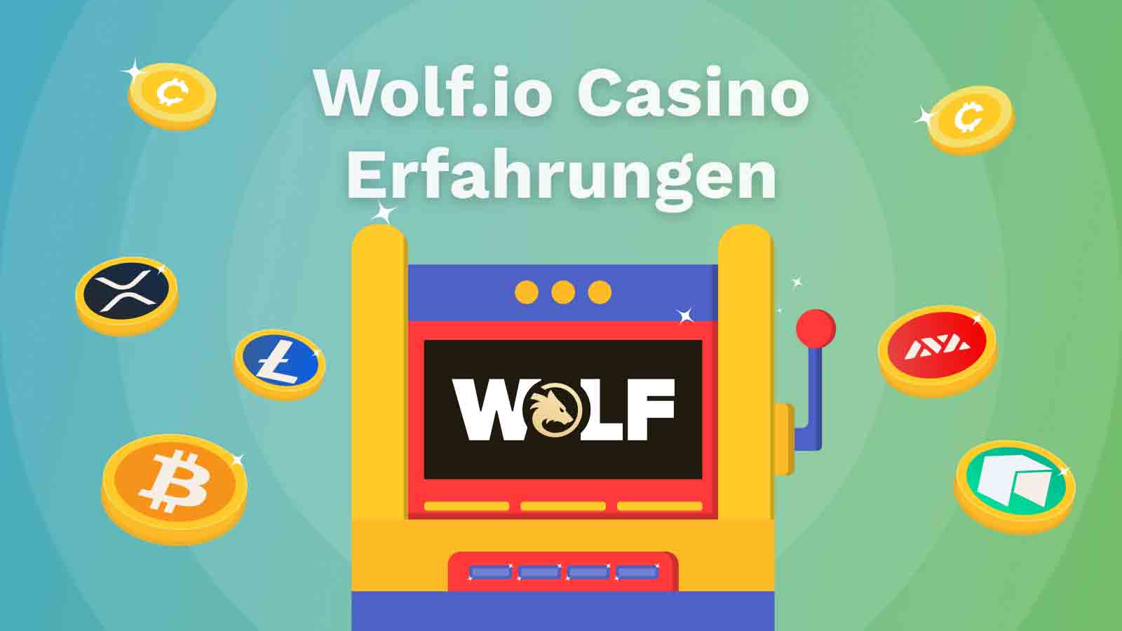 Wolf.io Erfahrungen