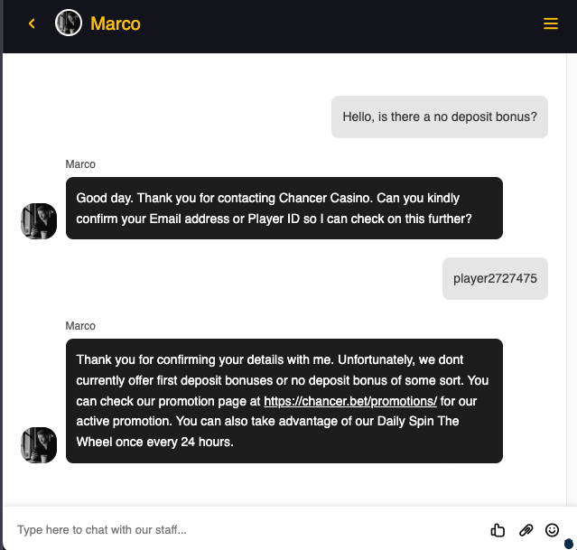 Live Chat 